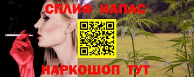 твердый Будённовск